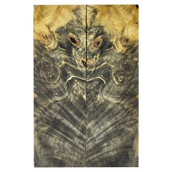 Drewno stabilizowane Buckeye Burl czeczot okładki 8x54x179mm SBSC96